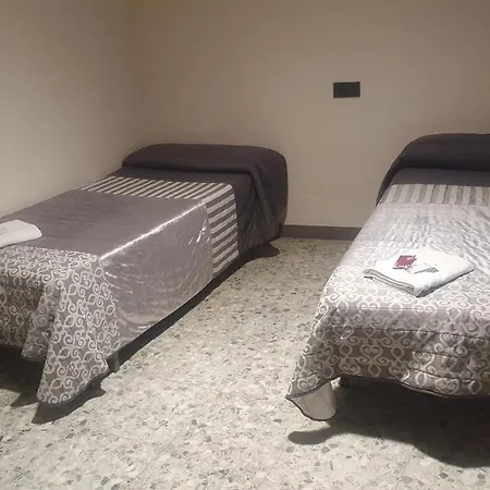 Peregrinos San Francisco De Asis León