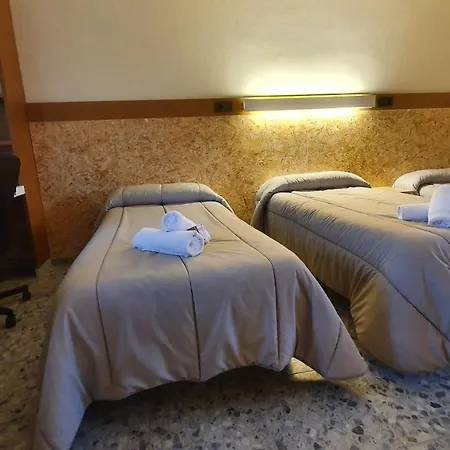 Peregrinos San Francisco De Asis *