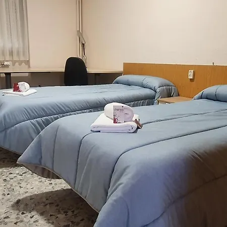 Peregrinos San Francisco De Asis