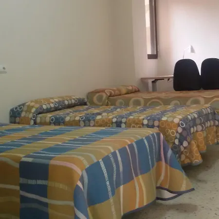 Peregrinos San Francisco De Asis