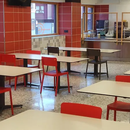 Peregrinos San Francisco De Asis