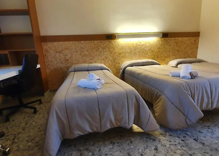 Peregrinos San Francisco De Asis *