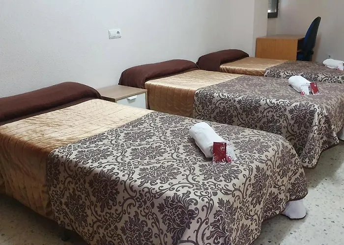 Peregrinos San Francisco De Asis *