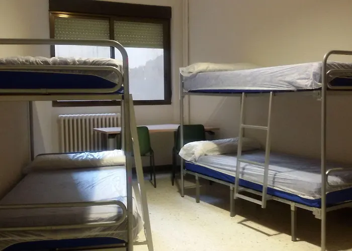 Peregrinos San Francisco De Asis * レオン