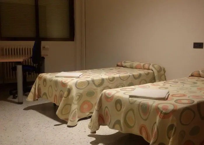 Peregrinos San Francisco De Asis レオン