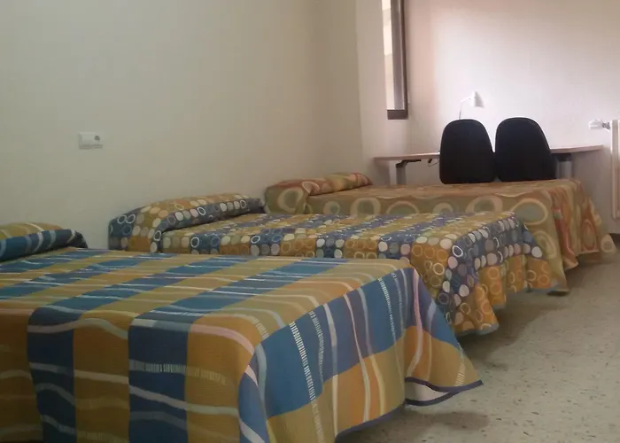 Peregrinos San Francisco De Asis