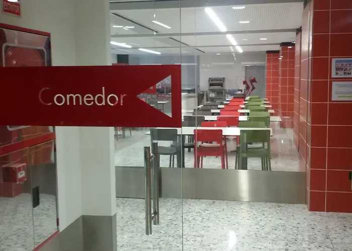 Peregrinos San Francisco De Asis