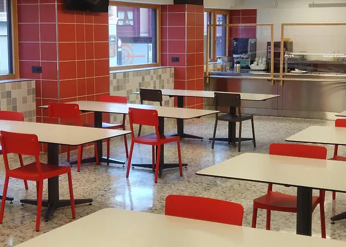 Peregrinos San Francisco De Asis