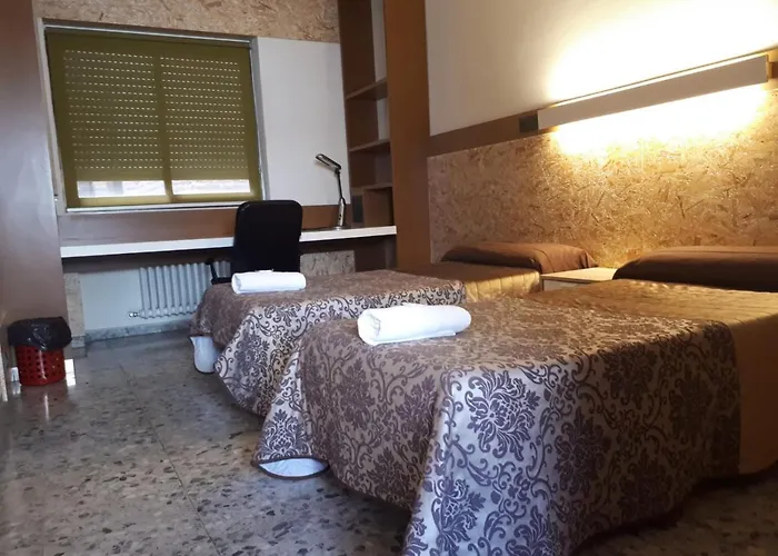 Peregrinos San Francisco De Asis * レオン